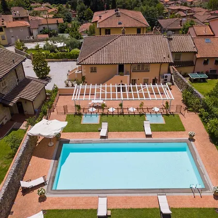 Melangola Camaiore