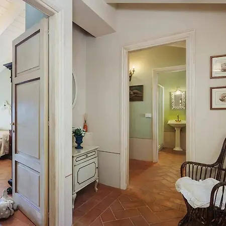 Melangola * Camaiore