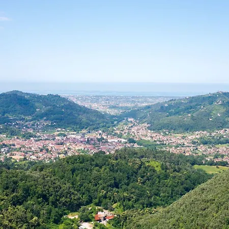 Melangola Vila *
